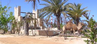 Parc Djerba Explore - Destino y Sabor