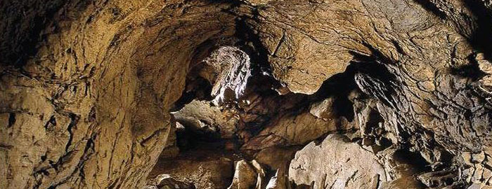 Interior de la Cueva Tito Bustillo - Imagen de la Cueva