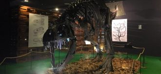 Tiranosaurio Rex en posición de caza - Destino y Sabor