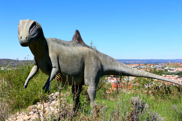 Concavenator, el dinosaurio de Cuenca hayado en el Yacimiento de Las Hoyas - Destino y Sabor