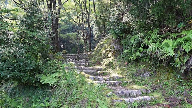 Ruta Nakahechi del Kumano Kodo - Imagen de Cota40 en Wikiloc