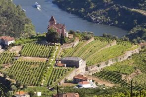Enoturismo por el Douro, Portugal: lugares para conocer lo mejor del vino
