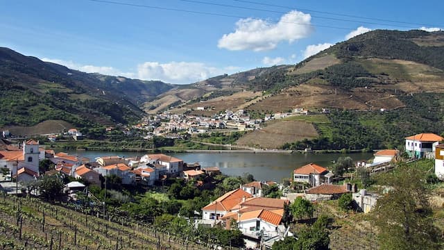 Enoturismo por el Douro