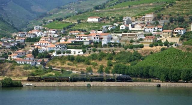 Enoturismo por el Douro