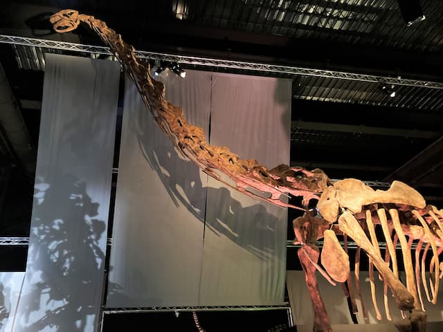 Saurópodo gigante encontrado en Teruel - Destino y Sabor