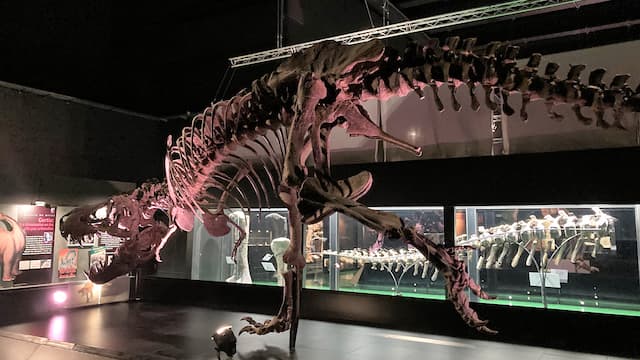 Tyrannosaurio Rex de Dinópolis - Destino y Sabor