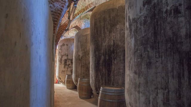 Depósitos de vino de cemento en la Plaza de Toros de Almendralejo - Imagen de Turismo de Almendralejo