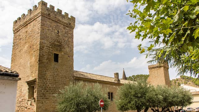 Castillo Palacio del Príncipe de Viana - Imagen de micamara.es