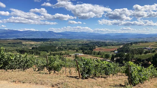 Enoturismo por el norte de la península