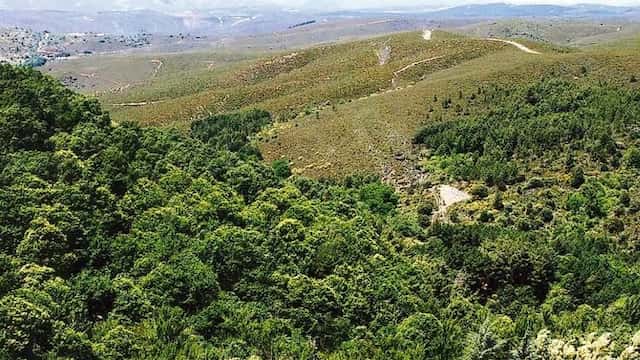 Comarca de Aliste antes del incendio - Imagen de Destino Castilla y León