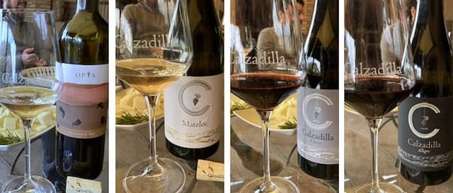Degustación de vinos de Pago Calzadilla - Destino y Sabor
