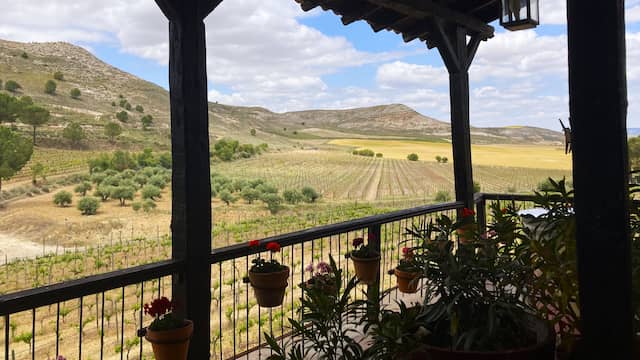 Vistas del viñedo desde la bodega - Destino y Sabor