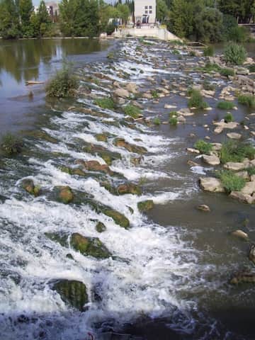 Ebro a su paso por el Paseo de la Florida - Imagen de CC Jynus en Wikipedia