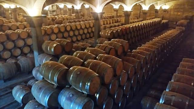 Sala de barricas de la Bodega Viña Ijalba - Imagen de la bodega