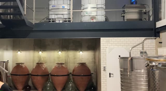 Instalaciones de la bodega de María de la Recueja - Destino y Sabor