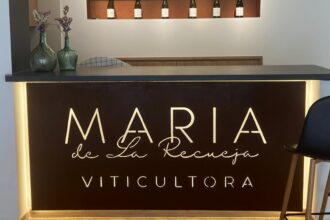 Sala de catas de la bodega de María de la Recueja - Destino y Sabor