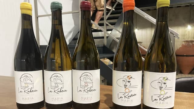 Vinos de la Bodega de María de la Recueja - Destino y Sabor