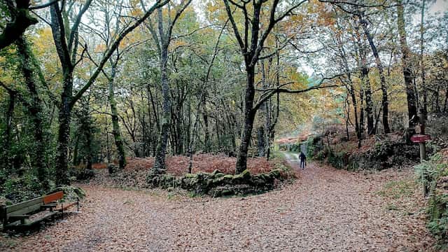 Ruta a los molinos en el entorno natural de Congostro - Imagen CC Wikipedia